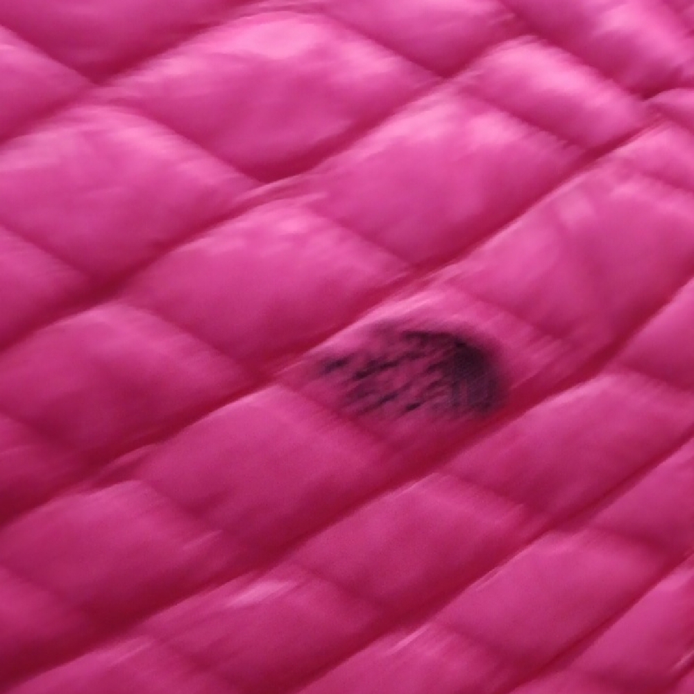 The North Face Fuchsia Quilted Vest - Picture 7 of 8